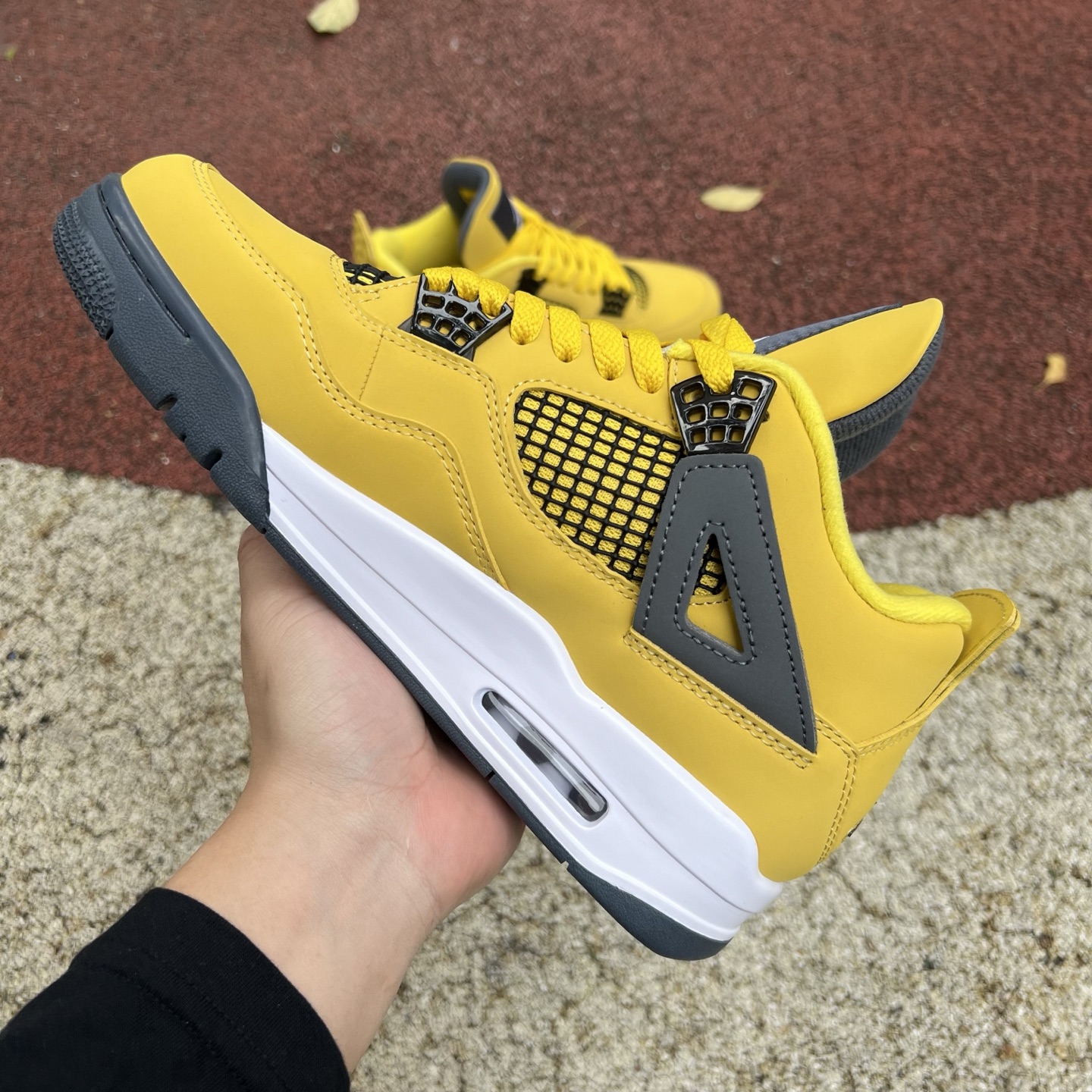 Nike Jordan shoe